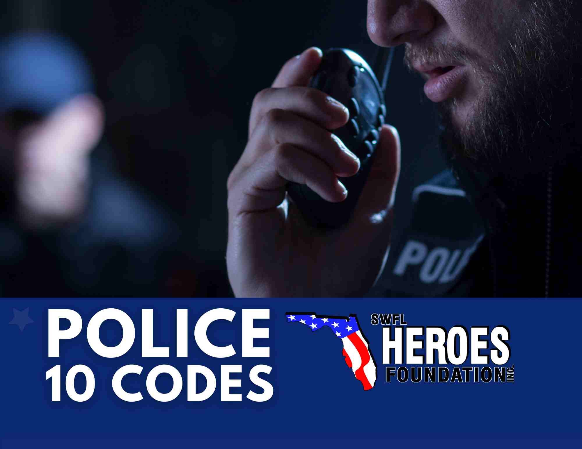 police 10 codes